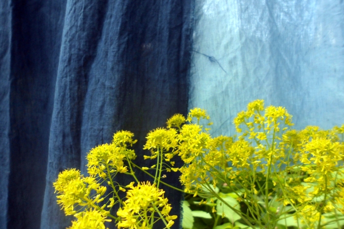 woad flowers and woad dyed linen
